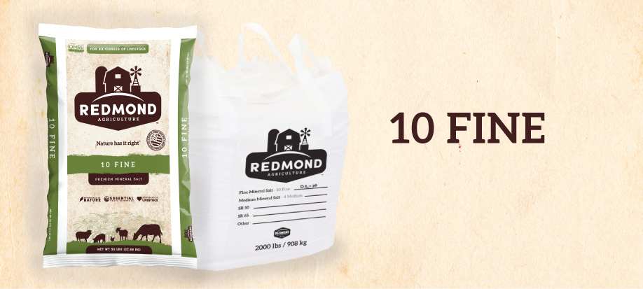 Redmond #10 Fine Mineral Salt