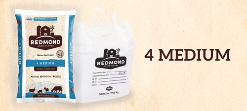 Redmond #4 Medium Mineral Salt Tote Bag 900KG